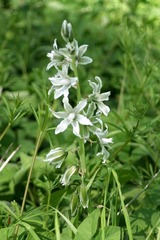 Killikus&reg; Fotographie